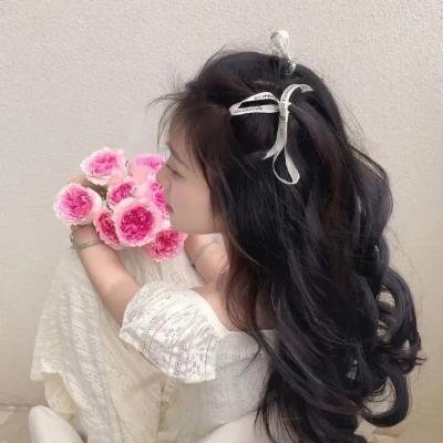 系统破坏者
